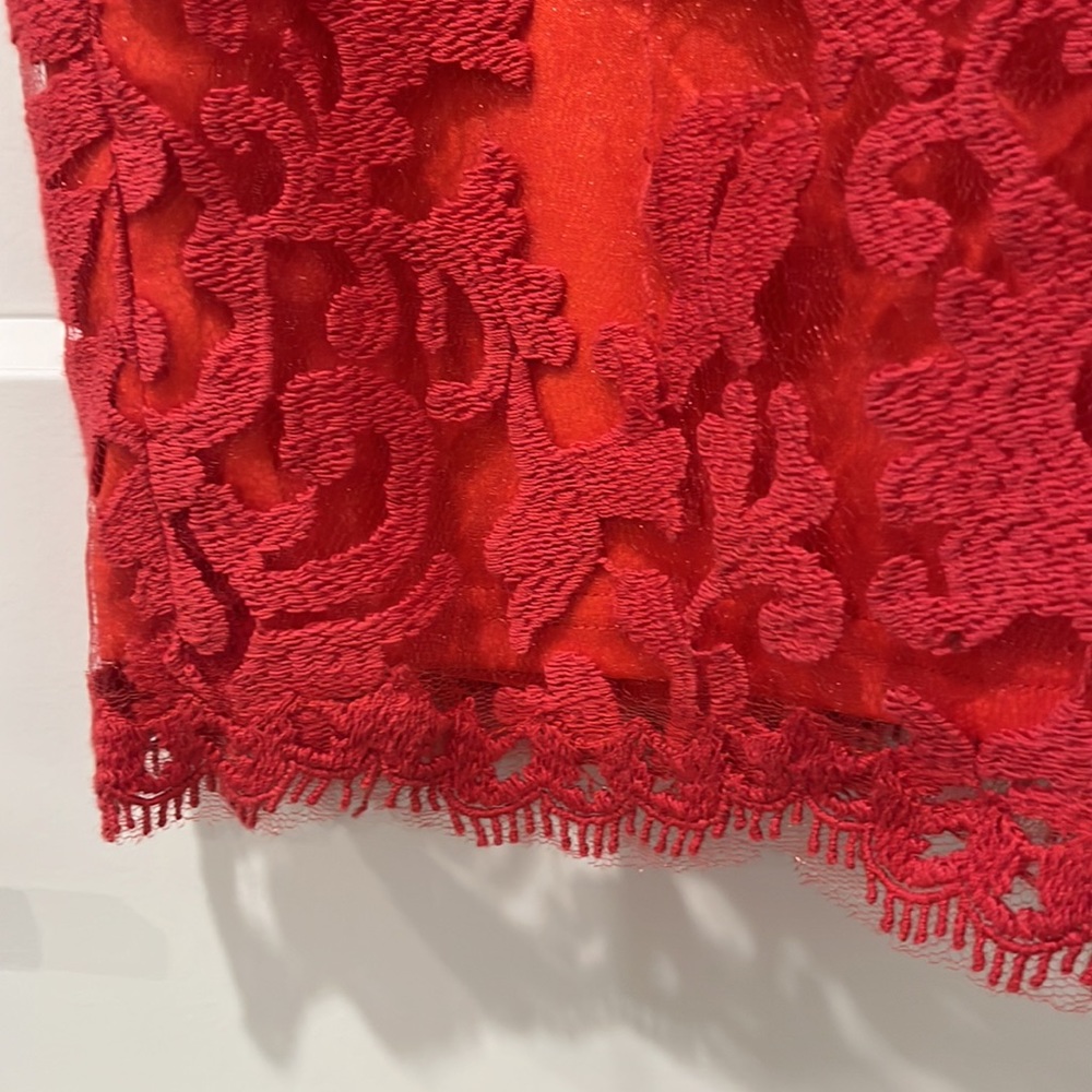 Tadashi Shoji Lace V Neck Sheath Dress - Picture 4 of 8